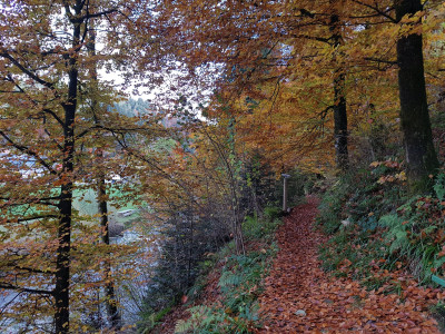 Entdeckerpfad trubschachen herbst ilfis