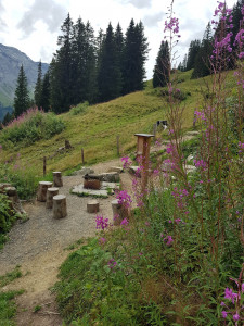 grillstelle vogellisi erlebnisweg