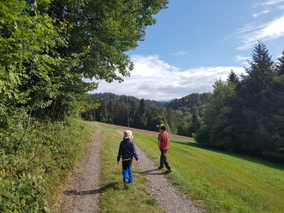 kinder erlebnisweg brenzikofen
