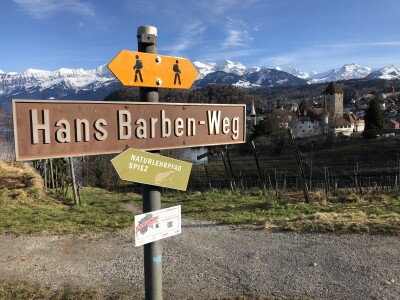 schild spiez