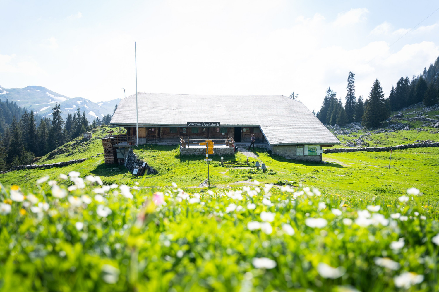 oberstockenalp Erlenbach im Simmental