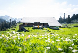 oberstockenalp Erlenbach im Simmental