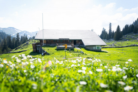 oberstockenalp Erlenbach im Simmental