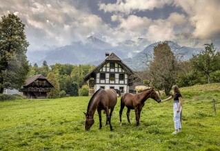 Freilichtmuseum Ballenberg