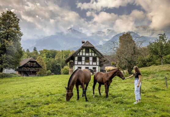 Freilichtmuseum Ballenberg