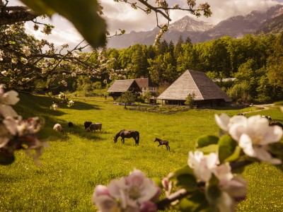 Pferde Haus Ballenberg