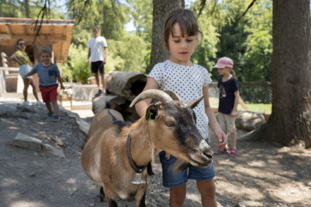 Mädchen mit Ziege Freilichtmuseum Ballenberg