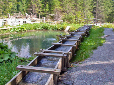 Zulaufkanal Säge Schwarzwaldalp
