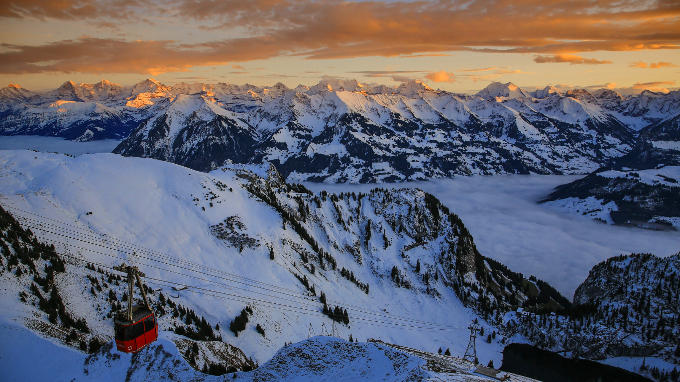 Key Visual Winter BOP 2025