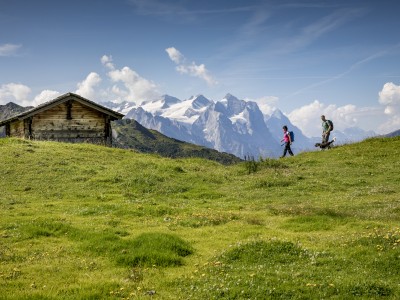 Wandern mit Hund Bergbahnen Meiringen Hasliberg