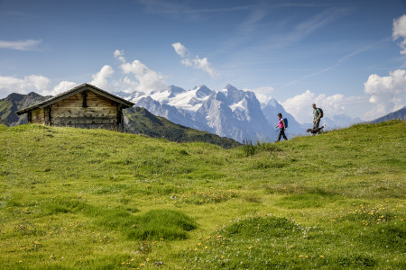 Wandern mit Hund Bergbahnen Meiringen Hasliberg