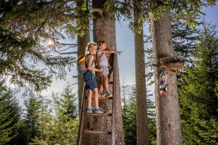 Bergbahnen Meiringen Hasliberg Zwergenweg Maegsialp Bidmi 6 David Birri
