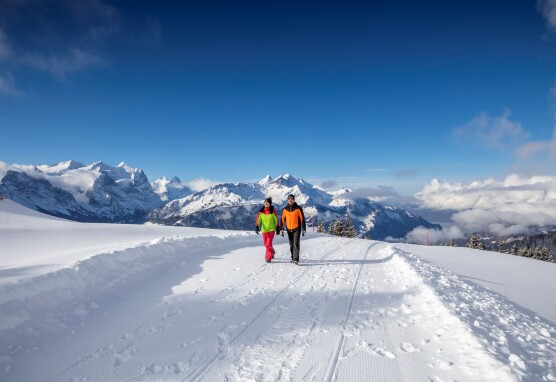 Bergbahnen Meiringen Hasliberg Winterwandern2 by.davidbirri