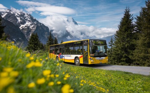 2022  GrindelwaldBUS GrosseScheidegg ©STI Holding AG