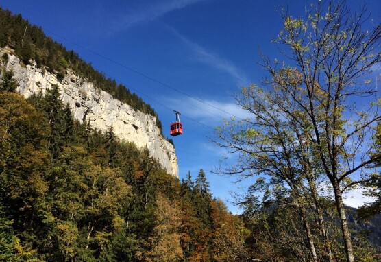 Isenfluh Sulwald
