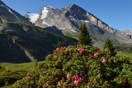 Naturerlebnis Kandersteg Sunnbüel