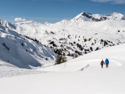 Winterwandern am Betelberg 2 Bergbahnen Adelboden Lenk AG v2