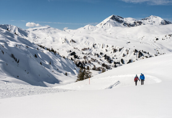 Winterwandern am Betelberg 2 Bergbahnen Adelboden Lenk AG