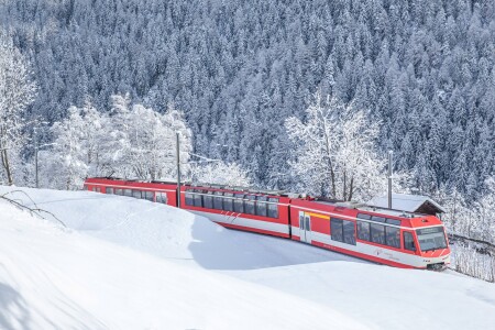 Landschaft Komet Fiesch Goms MGBahn 2 verkleinert