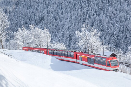 Landschaft Komet Fiesch Goms MGBahn 2 verkleinert