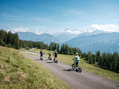 Niederhorn Trottibiken 2