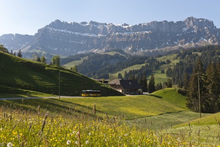 @PostAuto