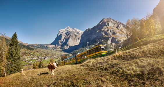 Wengernalpbahn Herbst Grindelwald Wetterhorn