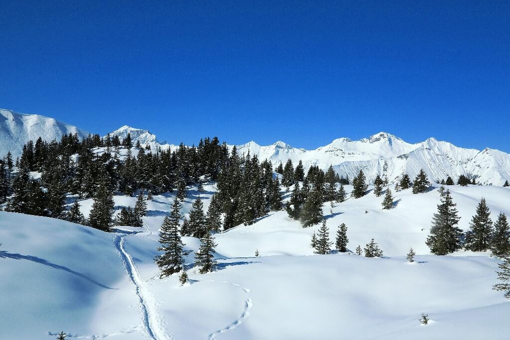 Schneeschuhtrail Elsigenalp