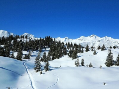 Schneeschuhtrail Elsigenalp