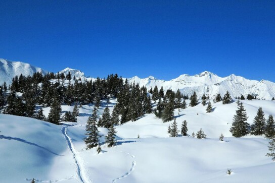 Schneeschuhtrail Elsigenalp