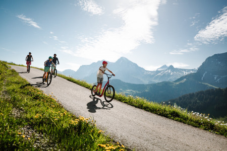 sillerenbuehl trotti family