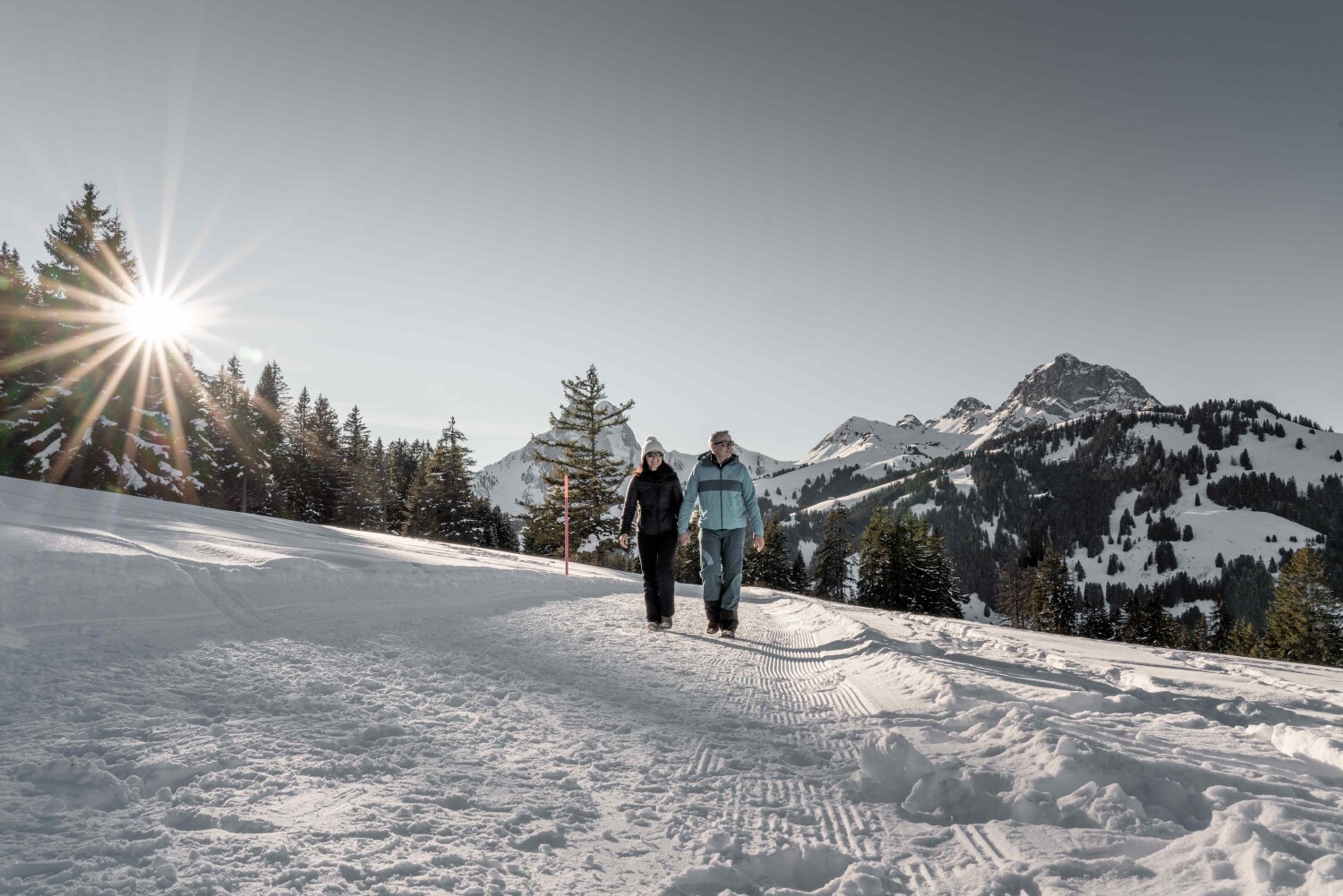 Eggli Winterwandern Winter 1 Destination Gstaad Yannick Romagnoli