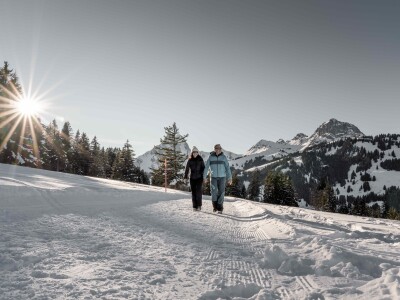 Eggli Winterwandern Winter 1 Destination Gstaad Yannick Romagnoli