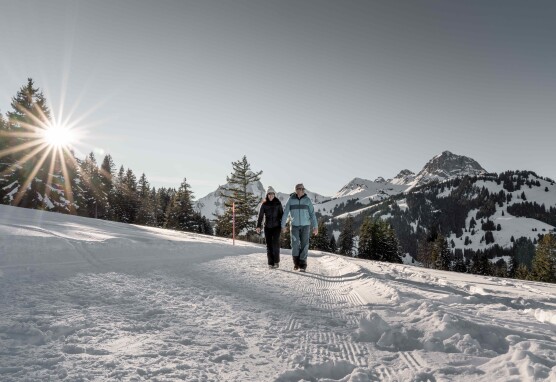 Eggli Winterwandern Winter 1 Destination Gstaad Yannick Romagnoli