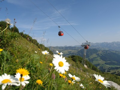 Gondelbahn Rinderberg