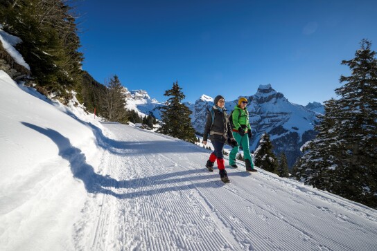 Brunni Winterwandern