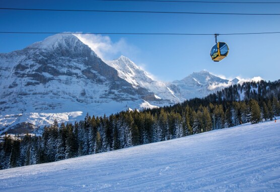 2024 Gondelbahn Grindelwald Maennlichen 2 by v2.davidbirri