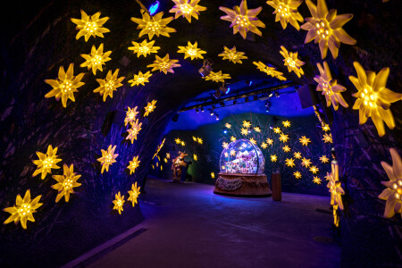 Jungfraujoch Alpine Sensation Schneekugel