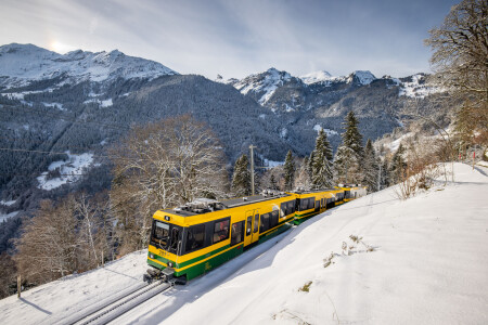 Wengernalpbahn Wengen Shuttle Fahrt Richtung Wengen