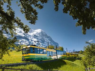 Wengernalpbahn Zug von vorne