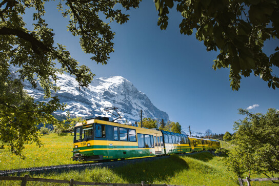 Wengernalpbahn Zug von vorne