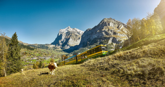 wengernalpbahn grindelwald wetterhorn herbst sommer