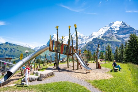 Allmendhubel FlowerPark Schilthornbahn AG