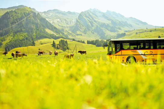 Postauto Ausflug in der Region Gstaad