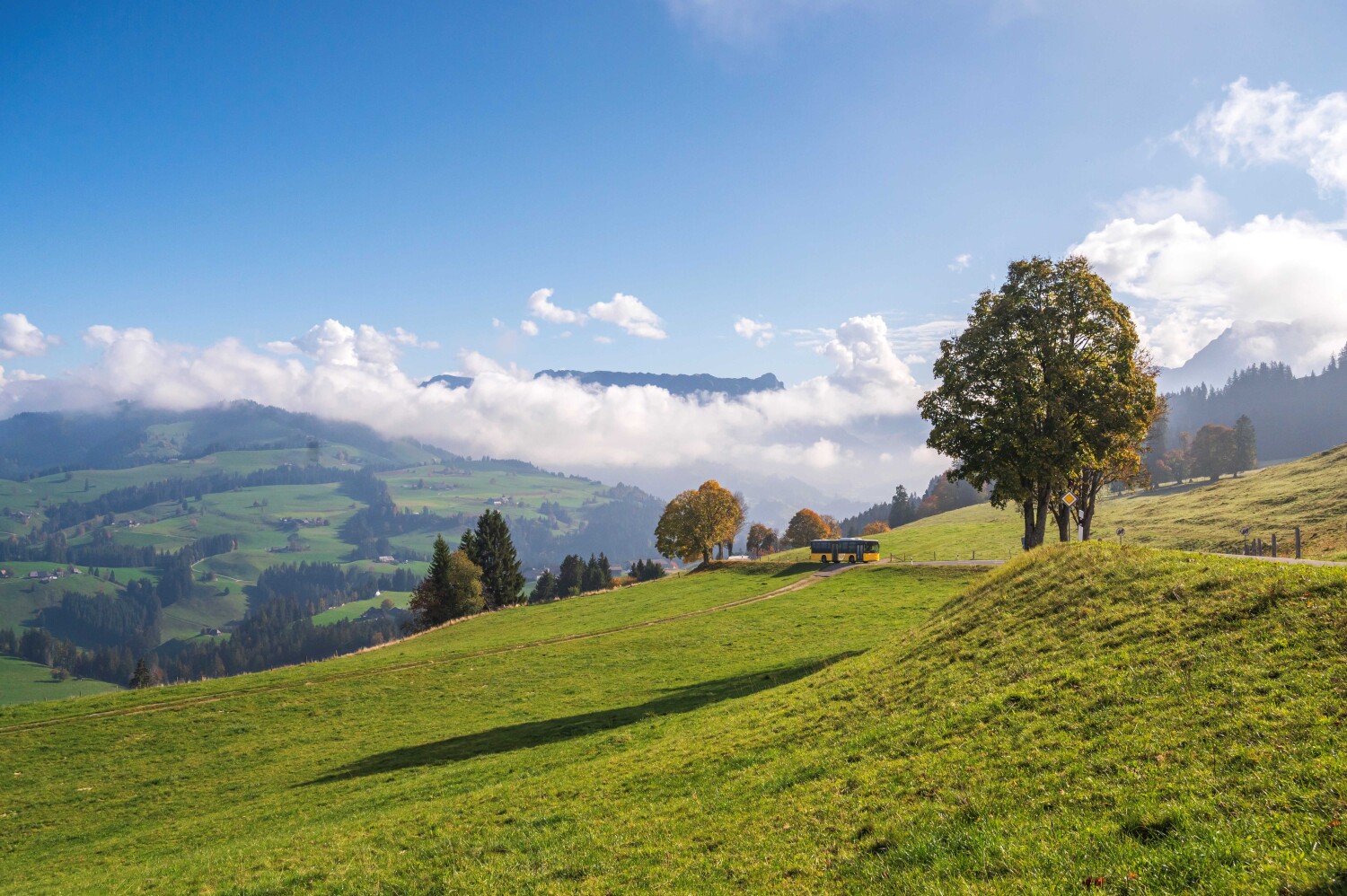 Schallenberg Header gross