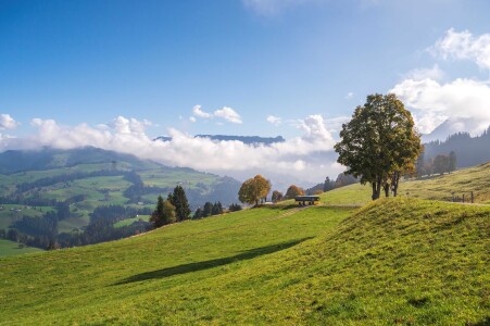 Schallenberg Header gross