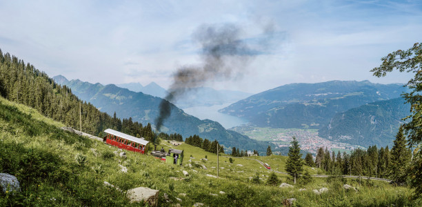 Dampfbahnfahrt auf die Schynige Platte mit wunderbarer Aussicht auf den Thunersee
