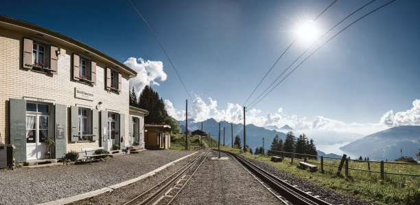 schynige platte breitlauenen sommer