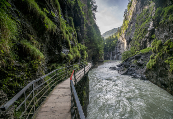 Aareschlucht 3