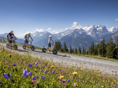 Meiringen Hasliberg Trottibike